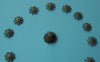 100 pcs Antiqued Bronze Filigree Flower Bead Caps 19mm A2057