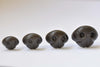 5 pcs Dark Brown Dog Nose Come with Washers