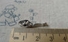 Accessories - 10 Pcs Antique Silver Conch Sea Snail Flower Charms 8x25mm A6535
