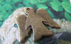 Accessories - 10 Pcs Of Antique Bronze Blank Angel Charms 26x28mm A4317