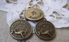 Accessories - 10 Pcs Of Antique Bronze Capricorn The Sea Goat Constellation Round Charms Pendants 18mm A1937