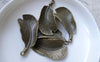 Accessories - 10 Pcs Of Antique Bronze Feather Charms 18x36mm A7781