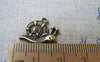 Accessories - 10 Pcs Of Antique Bronze Lovely Snail Charms Double Sided 15x18mm A673