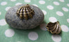 Accessories - 10 Pcs Of Antique Bronze Scallp Shell Sea Shell Charms 17x21mm A650