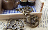 Accessories - 10 Pcs Of Antique Bronze Scorpius Scorpion Constellation Charms 18x20mm A2875