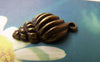 Accessories - 10 Pcs Of Antique Bronze Sea Snail Conch Charms 13x21mm A3402