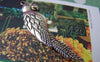 Accessories - 10 Pcs Of Antique Silver Huge Parrot Pendant Charms 15x55mm A810