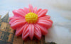 Accessories - 10 Pcs Of Resin Round Daisy Flower Cameo Cabochon Assorted Color 27mm A2453