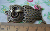 Accessories - 2 Pcs Owl Pendants Rhinestone Charms 33x50mm A120