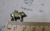 Accessories - 20 Pcs Of Antique Bronze 3D Pig Charms 16x21mm A6104