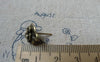 Accessories - 20 Pcs Of Antique Bronze Flower Earring Posts With Loop Steel Pin 12mm A6508