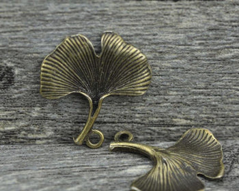 Accessories - 20 Pcs Of Antique Bronze Gingko Gingkgo Leaf Charms 23x23mm A7675