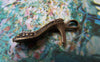 Accessories - 20 Pcs Of Antique Bronze High Heel Shoes Charms 10x26mm A2292