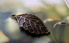 Accessories - 20 Pcs Of Antique Bronze Lovely Leaf Charms 14x25mm A370