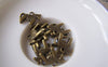 Accessories - 20 Pcs Of Antique Bronze Standing Horse Charms 12x14mm A4605