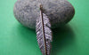 Accessories - 20 Pcs Of Antique Silver Lovely Feather Leaf Charms  9x30mm A1122