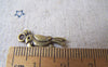 Accessories - 30 Pcs Of Antique Bronze Parrot Charms 8x20mm Double Sided A3484