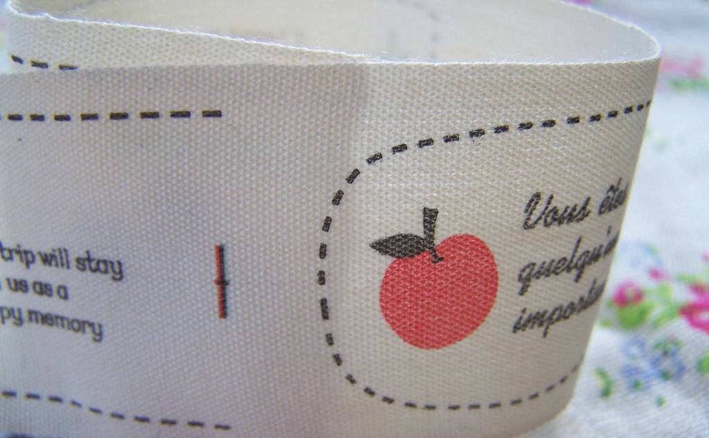 Accessories - 5.46 Yards (5 Meters) Lovely Apple Camera Leaf Print Cotton Ribbon Label String A2535