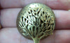 Accessories - 5 Pcs Hemisphere Tree Bronze Charms 30mm A328
