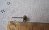 Accessories - 50 Pcs Of Antique Bronze Brass Ball Post Ear Stud Findings 5mm A3587