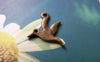 Accessories - 50 Pcs Of Antique Bronze Lovely Bird Charms 12x12mm A241