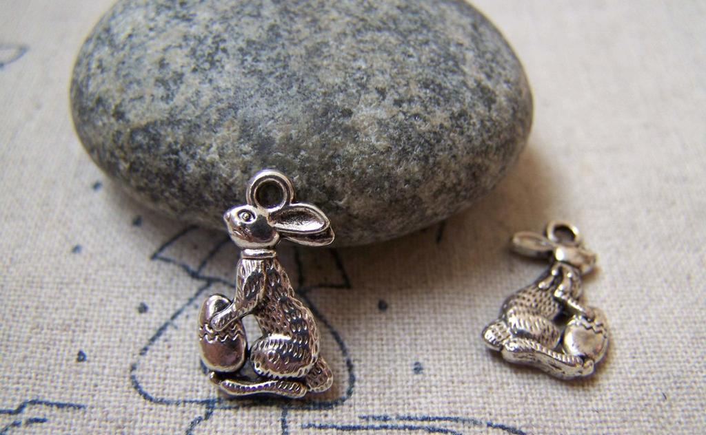 Accessories - Carrot Rabbit Antique Silver Charms 10x17mm Double Sided Set Of 10 Pcs A5797