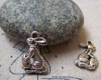 Accessories - Carrot Rabbit Antique Silver Charms 10x17mm Double Sided Set Of 10 Pcs A5797