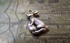 Accessories - Carrot Rabbit Antique Silver Charms 10x17mm Double Sided Set Of 10 Pcs A5797