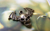 Accessories - Devil Wing Charms Antique Bronze Skull Pendants 22mm Set Of 10 Pcs A1582