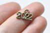 30 pcs Antique Bronze New Year 2022 Charms 10x13mm A2980