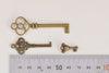 Antique Bronze Skeleton Key Charms Pendants Collection Mixed Style Set of 19  A6671