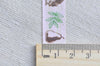 Retro Washi Tape Bird Flower Masking Tape 15mm x 10M Roll A13064