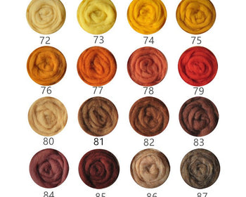 Colorful Needle Felting Wool Bundle Spanish Wool Roving 5G A Pack