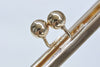Metal Purse Frame Clutch Bag Purse Frame With Screws Gunmetal/ Light Gold/ Bronze 20.5cm ( 8")