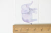 Elephant Washi Tape Elephant Scrapbooking Suppliers 35mm x 5M A12178