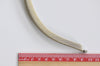 21.5cm( 8 1/2") Brushed Brass Purse Frame With Black Candy Head Bag Hanger High Quality