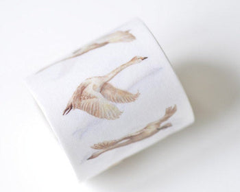 Elegant Swan Washi Tape Lined Scrapbooking Tape 40mm wide x 5M long A12874