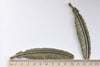 Antique Bronze Super Large Feather Pendants 22x106mm Set of 6 A8056