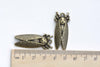 Cicada Charms Antique Bronze Insect Pendants  Set of 10 A8096